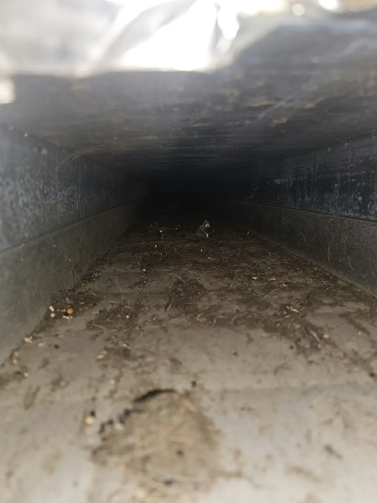 Before: rectangular duct with dust, hair and debris along the bottom