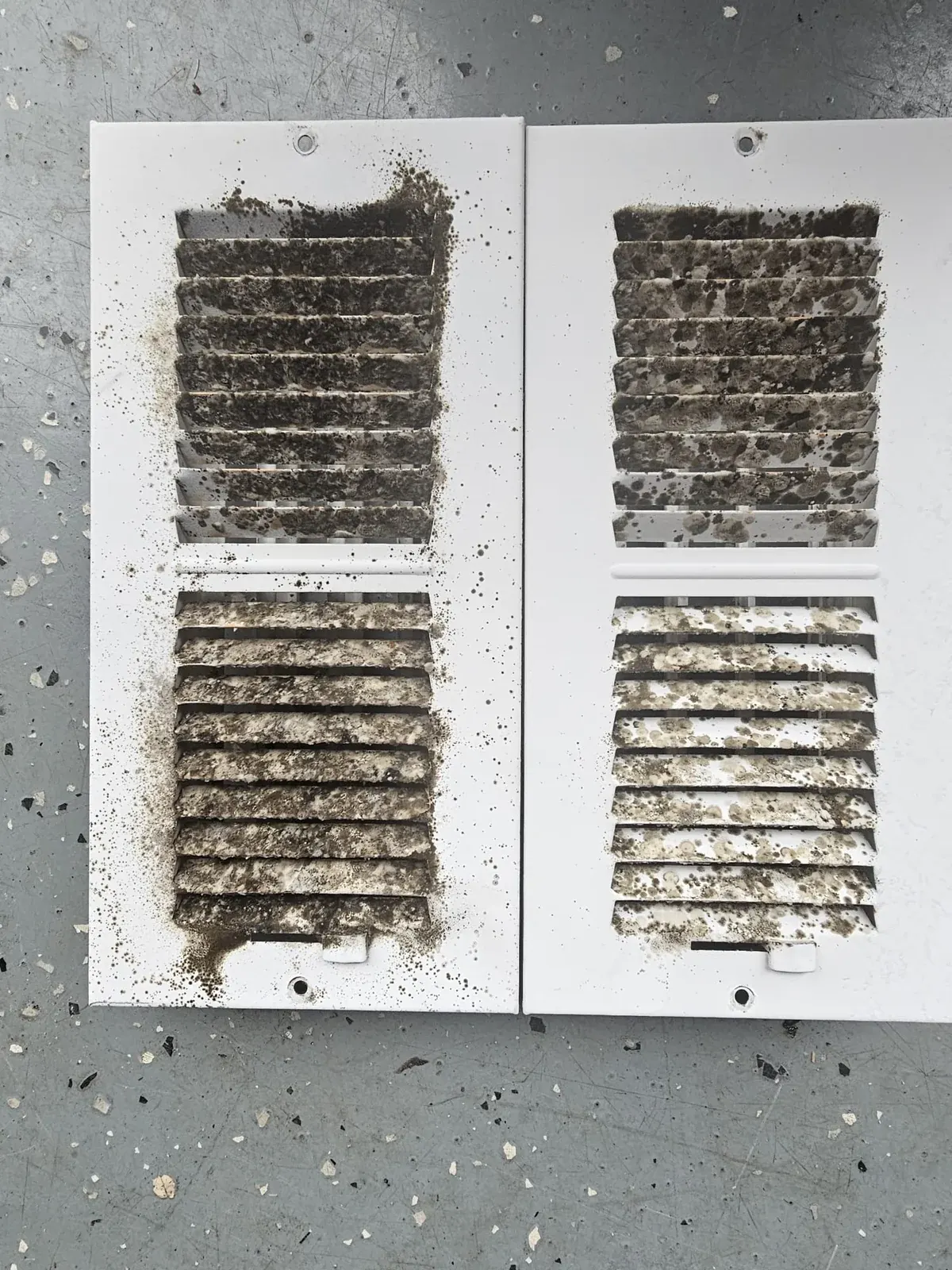 Two white vent covers with dark spots on the louvers